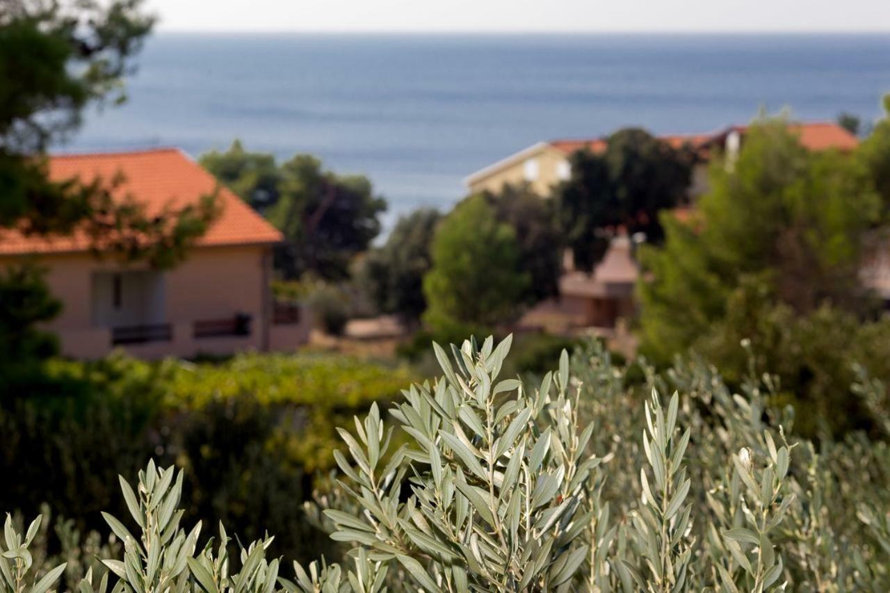 Apartments Balic Ivan Dolac Dış mekan fotoğraf